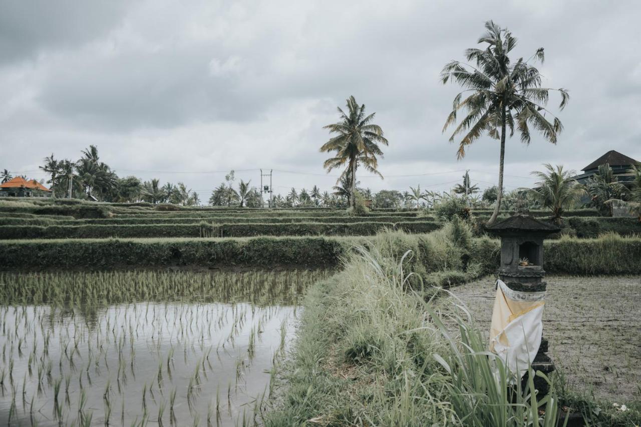 The Ning Resort Ubud Bagian luar foto
